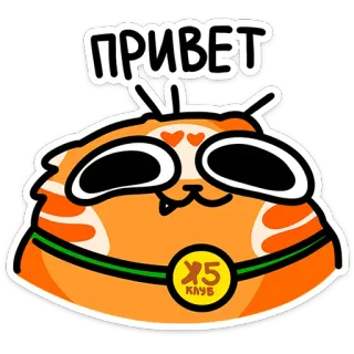 👋 ПРИВЕТ Katze, Cartoon, Hallo, Russisch, Gruß, Sticker, Orange, Tier telegram sticker