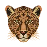 🐆