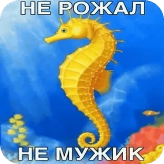 🙎♀ НЕ РОЖАЛ НЕ МУЖИК telegram sticker