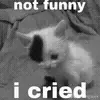 😭