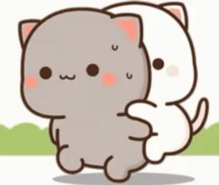 love quinns video kang pack telegram stickers