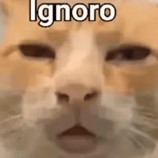 💞 Ignoro 猫, 梗, 动物, 忽略, 搞笑, 宠物 telegram sticker