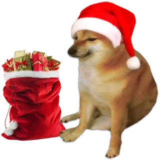 🎁 クリスマス, Doge, ミーム, サンタ帽子, プレゼント, ホリデー telegram sticker
