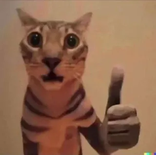 🌟 gato, animal, joinha, meme, aprovação, fofo, engraçado telegram sticker