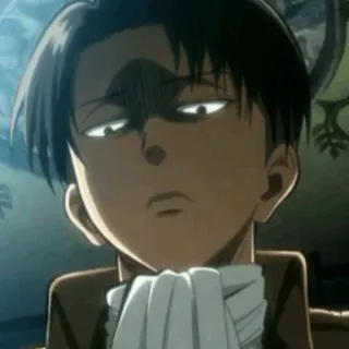 🖤 Levi Ackerman Attack on Titan Anime, Levi, Ackerman, Attack on Titan, Personage, Serieus, Manga telegram sticker