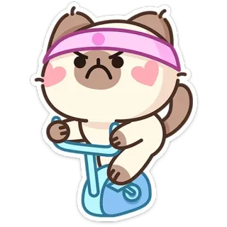 🐱 Katze, Übung, Heimtrainer, Fitness, Cartoon, niedlich, Tier telegram sticker