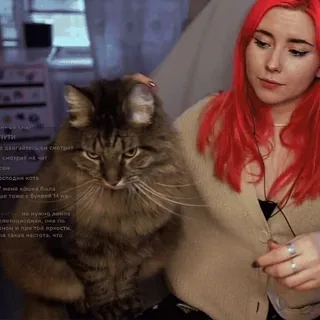 😻 Тути
• денгайтесь, он смотрит
смотрит начат
осподин ката
- меня кошка была
ше
тоже с буквоя и наи
не нужно д
шном и при той прности.
на сакая частота, что кот, женщина, питомец, рыжие волосы, русский telegram sticker