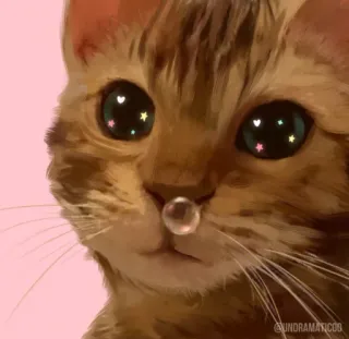 🌟 @UNDRAMATICJACOB gato, mascota, animal, burbuja, lindo, arte digital telegram sticker