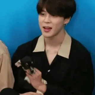 🕊 Jimin kpop, idool, hond, puppy, schattig, beroemdheid, aziatisch telegram sticker