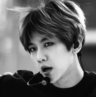 🌜 kpop, asian, singer, idol, portrait, monochrome telegram sticker