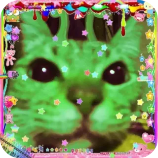 🧸 mèo, nhãn dán, kawaii, xanh lá, dễ thương, thẩm mỹ telegram sticker