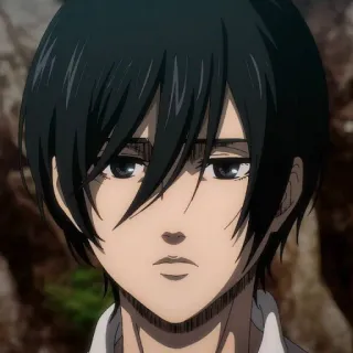 ⚔️ Mikasa Ackerman Attack on Titan anime, attack on titan, mikasa, ackerman, character, manga telegram sticker