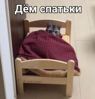 🛌 Дём спатьки แมว, นอน, เตียง, น่ารัก, สัตว์ whatsapp sticker
