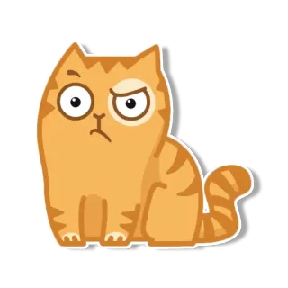 🤔 gato, enojado, naranja, dibujos animados, animal telegram sticker