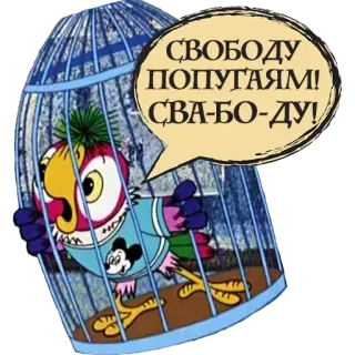 Попугай Кеша @stickernayaa telegram stickers