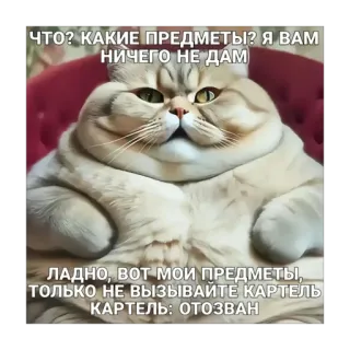 🫥 ЧТО? КАКИЕ ПРЕДМЕТЫ? Я ВАМ
НИЧЕГО НЕ ДАМ
ЛАДНО, ВОТ МОИ ПРЕДМЕТЫ,
ТОЛЬКО НЕ ВЫЗЫВАЙТЕ КАРТЕЛЬ
КАРТЕЛЬ: ОТОЗВАН kat, meme, russisch, grappig, kartel, items whatsapp sticker