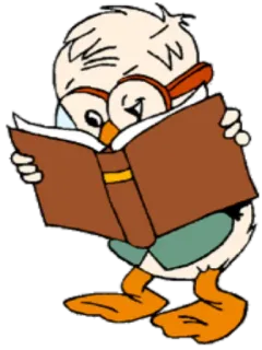 📚 canard, lecture, livre, dessin animé, lunettes, animal whatsapp sticker