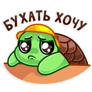 Turtle @stickersb2b telegram stickers