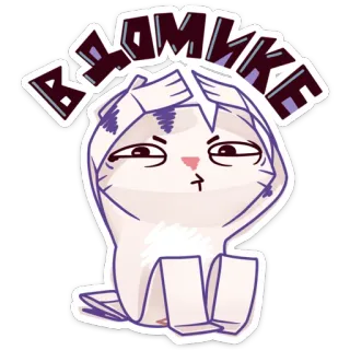 🏡 ВЕДОМИКЕ Katze, Aufkleber, Russisch, Süß, Tier telegram sticker