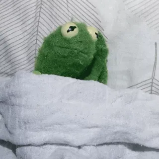 😔 Kermit Kermit la Rana, burattino, dormire, letto, coperta telegram sticker
