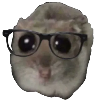 🤓 햄스터, 안경, 동물, 애완 동물, 귀여운, 설치류 whatsapp sticker