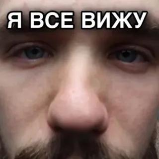 👀 Я ВСЕ ВИЖУ eyes, face, russian, i see everything, meme telegram sticker