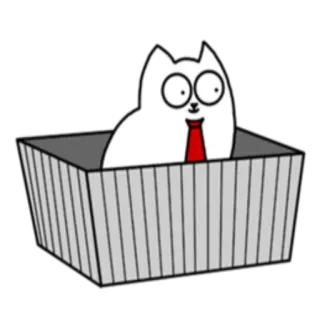 📦 gato, caixa, gravata, animal, branco, animal de estimação whatsapp sticker