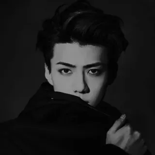 🌜 Sehun Sehun, EXO, K-Pop, singer, celebrity, idol, Korean, music telegram sticker