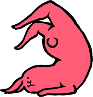 😍 Hase, Tier, Cartoon, Humor, Flexibel, Rosa whatsapp sticker