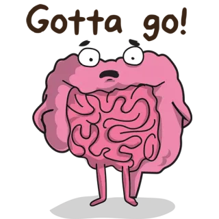 🏃 intestin, organe, dessin animé, anatomie, drôle, mignon whatsapp sticker