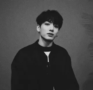 🕸 Jeon Jungkook Jungkook, BTS, K-pop, chanteur, idole, homme, noir et blanc whatsapp sticker