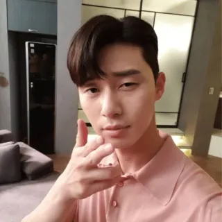 🔫 Park Seo-joon pria, aktor, Korea, Park Seo-joon, selfie, potret telegram sticker