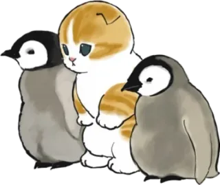 🐧 kucing, pinguin, hewan, imut, anak kucing, burung telegram sticker