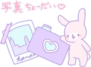 📷 写真 ちょーだい♡ kawaii, kelinci, kamera, foto, permintaan, imut, jepang whatsapp sticker