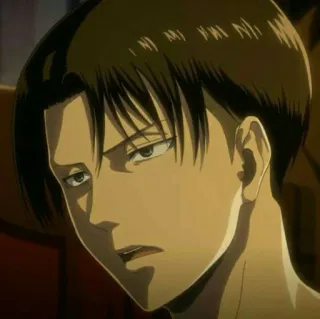 ⚔ Levi Ackerman Attack on Titan Anime, Personagem, Sério, Tropa de Exploração, Soldado, Capitão whatsapp sticker