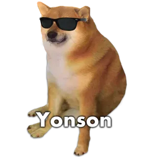 🐶 Yonson หมา, มีม, ชิบะอินุ, แว่นตา, Yonson, เจ๋ง whatsapp sticker