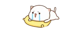 😭 gato, llorando, triste, lindo whatsapp sticker
