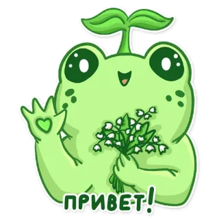 🙋‍♀️ ПРИВЕТ! приветствие, привет, лягушка, милый, цветок, растение telegram sticker