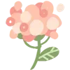 🌸