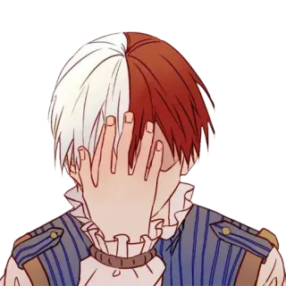 🩸 Shoto Todoroki My Hero Academia Anime, Shoto Todoroki, My Hero Academia, Personaggio, Gesto della mano, Facepalm telegram sticker