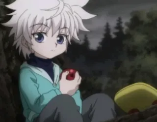 🍎 Killua Zoldyck Hunter x Hunter アニメ, キルア, キルア=ゾルディック, HUNTER×HUNTER, 少年, 漫画 telegram sticker