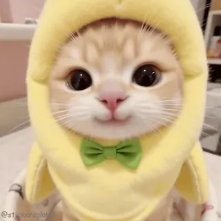 🍌 Banana Cat telegram sticker