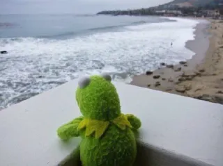 🌊 Kermit Лягушонок Кермит, пляж, океан, маппет, кукла telegram sticker