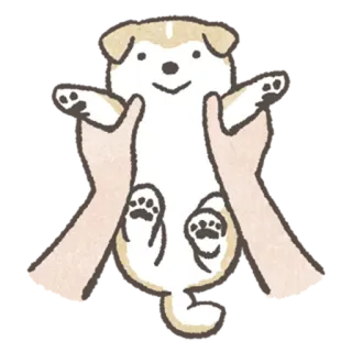 👐 강아지, 개, 동물, 귀여운, 애완동물, 손, 잡고 있는 telegram sticker