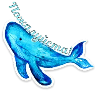 🐳 Пожалуйста! whale, animal, watercolor, sea, ocean, request, please telegram sticker