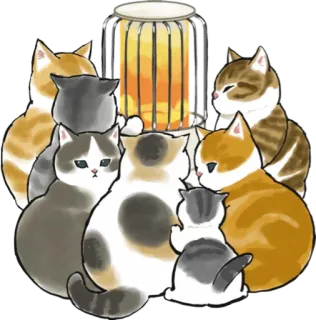 🔥 gatos, fofo, animais, gatinhos, aquecedor telegram sticker
