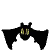 🦇