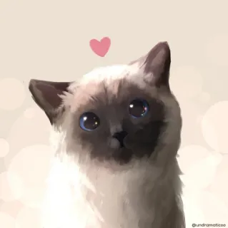 🌟 gato, siamés, animal, mascota, corazón, lindo, pegatina telegram sticker