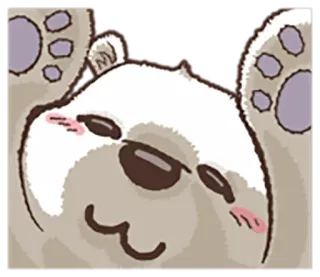 ☺️ gấu, dễ thương, động vật, kawaii, hoạt hình, hình minh họa whatsapp sticker