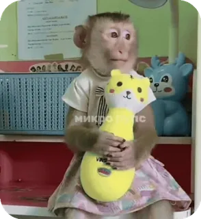 🪸 МИКРО Плюс monyet, mainan, binatang, lucu, plus, mikro telegram sticker
